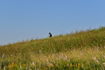 秋の野を駆ける