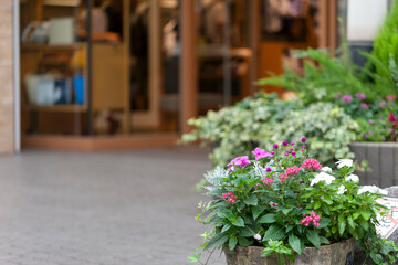 裏通りの花壇・吉祥寺東急裏（東京都武蔵野市）