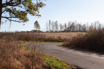 path in the countryside 