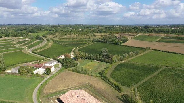 Castillon vineyards, Bordeaux - drone footage