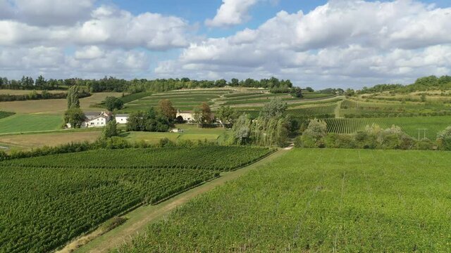 Castillon vineyards, Bordeaux - drone footage