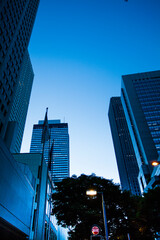 Naklejka premium 夕暮れの新宿のオフィスビル群