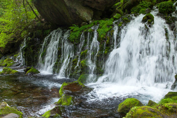 Obraz premium 元滝伏流水