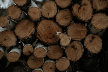 Fototapeta premium Folded firewood. 