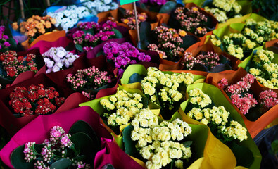 Obraz na płótnie Canvas Beautiful bouquets of mixed flowers in a flower shop. A bright mix of flowers. Background on full screen. Handsome fresh bouquets. Flowers delivery. Floral shop concept .