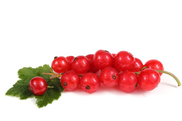 Red currant and leaf