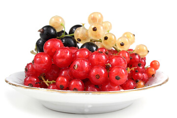 Black, white and red currant