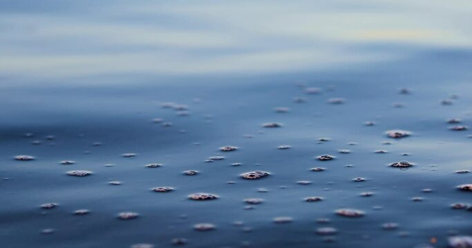 Texture of Water Surface with Oxygen Bubbles. Extreme Closeup View