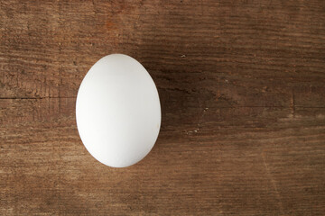 single white chicken egg on a background with space for writing