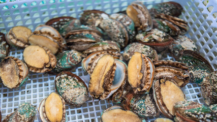 Fresh abalone in the fish market
