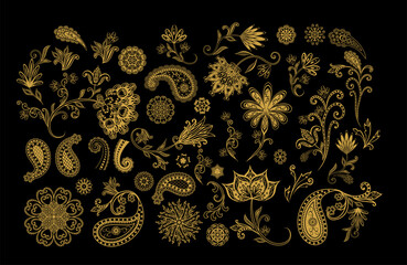 Vector decorative design Paisley, floral elements.