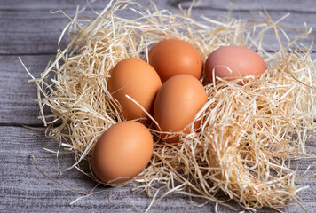 Simple foto de huevos con paja de granjero