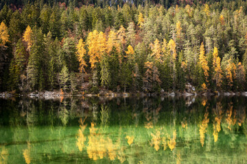 Lago di Tovel (Lake Tovel), Beautiful Alpine lake with forest in autumn, National Park of Adamello Brenta. Trentino Alto Adige, Trento province, Italy, Europe.