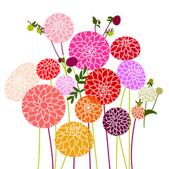 Fototapeta na wymiar Vector dahlias. Illustration with flower bush