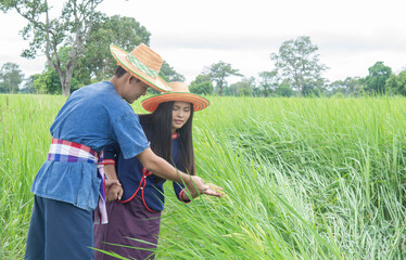 Husband and wife with green rice fields