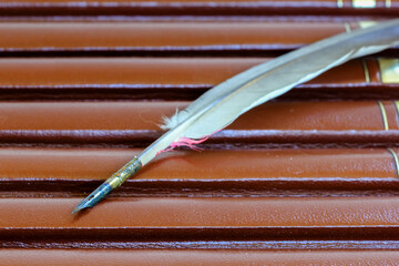 Vintage feather pen on a pile of old hard cover books