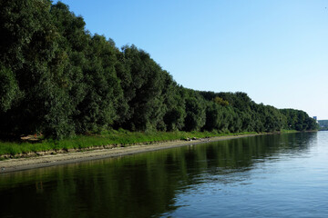 Fototapeta premium On the banks of the Danube river