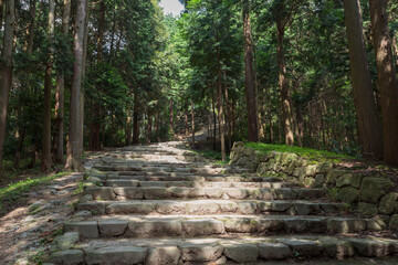 安土城跡王手道
