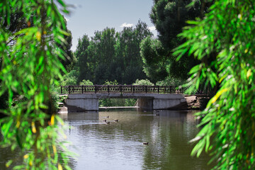 River. Bridge. Willow.