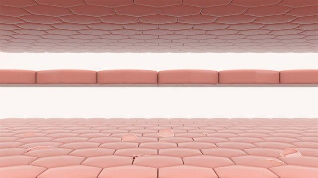 drop of serum pass through the skin cell layer and skin cells then turns into a healthy skin. skin care concept. 3d render.