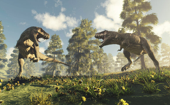 T Rex Fighting