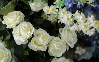 Closeup image of beautiful flowers wall background with amazing colorful roses. Top view