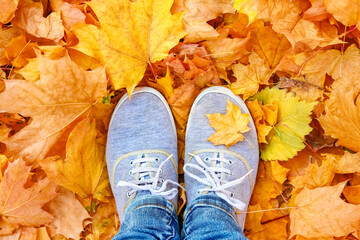 feet on the background of leaves in autumn on a background of the summer