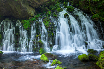 Obraz premium 元滝伏流水