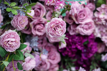 Closeup image of beautiful flowers wall background with amazing colorful roses. Top view