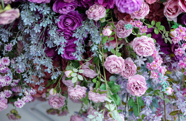 Closeup image of beautiful flowers wall background with amazing colorful roses. Top view