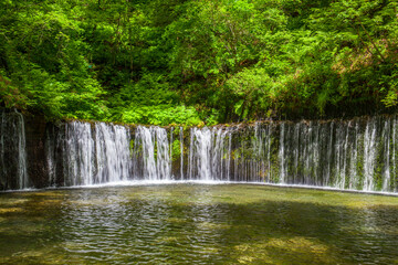 新緑の白糸の滝