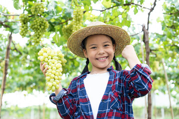 Grape farm. Small family business. The child worked happily on the farm. A young Asian woman holds a large bunch of grapes in one hand. And raised the other hand to show freshness, strength.