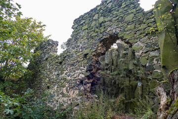 castle ruin in the deep wood