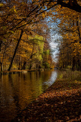 autumn in munich