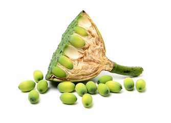 calyx on a white background