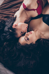 Top above high angle view photo of passionate horny naughty two people lgbt lesbian couple girls...
