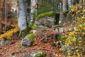 Fototapete bei efototapeten.de bestellen   