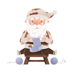 Cute cartoon Santa Claus character knitting a sock and wearing the costume with cow pattern. For Chinese New year of the zodiac ox cow year. Vector illustration.