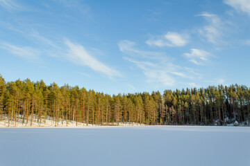 winter in the Russian forest on the lake