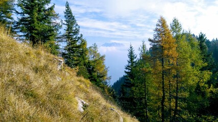 mountain suspended in the clouds