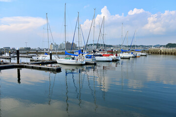 Fototapeta premium 江の島ヨットハーバーに係留するヨット