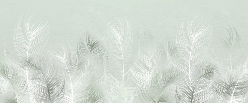 Beautiful decorative feathers on a light pistachio background. Interior printing. The mural art. © Katrine_arty