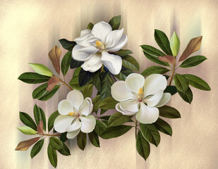 Drawn white Magnolia on a light textured background. For interior printing. The mural art. - 390336521
