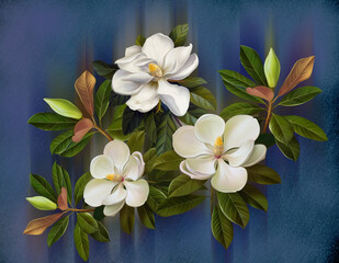 Fototapety  Malowana biała magnolia na niebieskim tle. Do druku wnętrz. Sztuka ścienna.