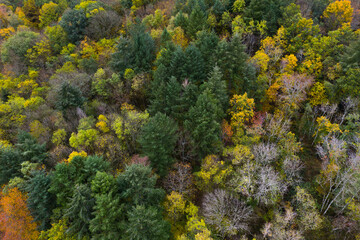 forêt en vue aérienne dans le Morvan