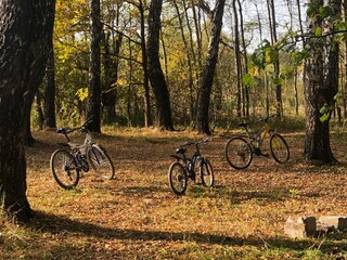 bicycle in the park