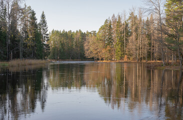 Fototapeta na wymiar River landscape in late autumn. Farnebofjarden national park in Sweden.