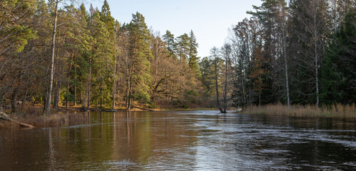 River landscape in late autumn. Farnebofjarden national park in Sweden.