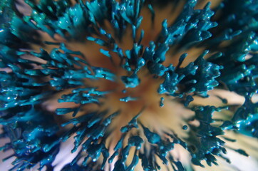 Aquarellfarben auf Bürste