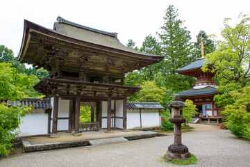 円成寺桜門と多宝塔